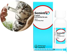 猫にシリンジでセミントラ（薬）を与える
